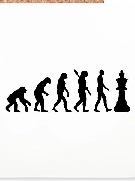 Chess king