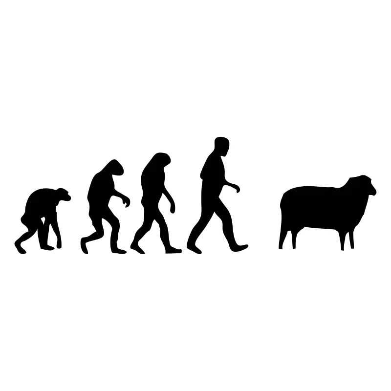 schaf evolution