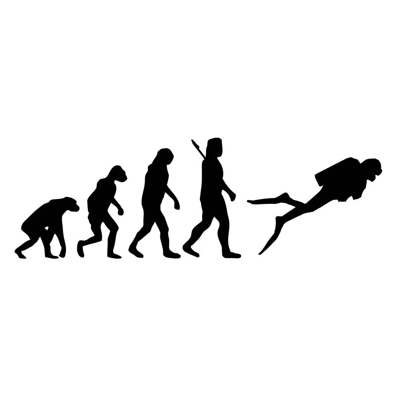 Evolution Tauchen