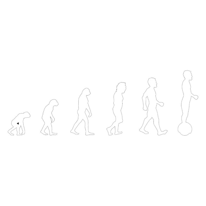 Gyrowheel evolution