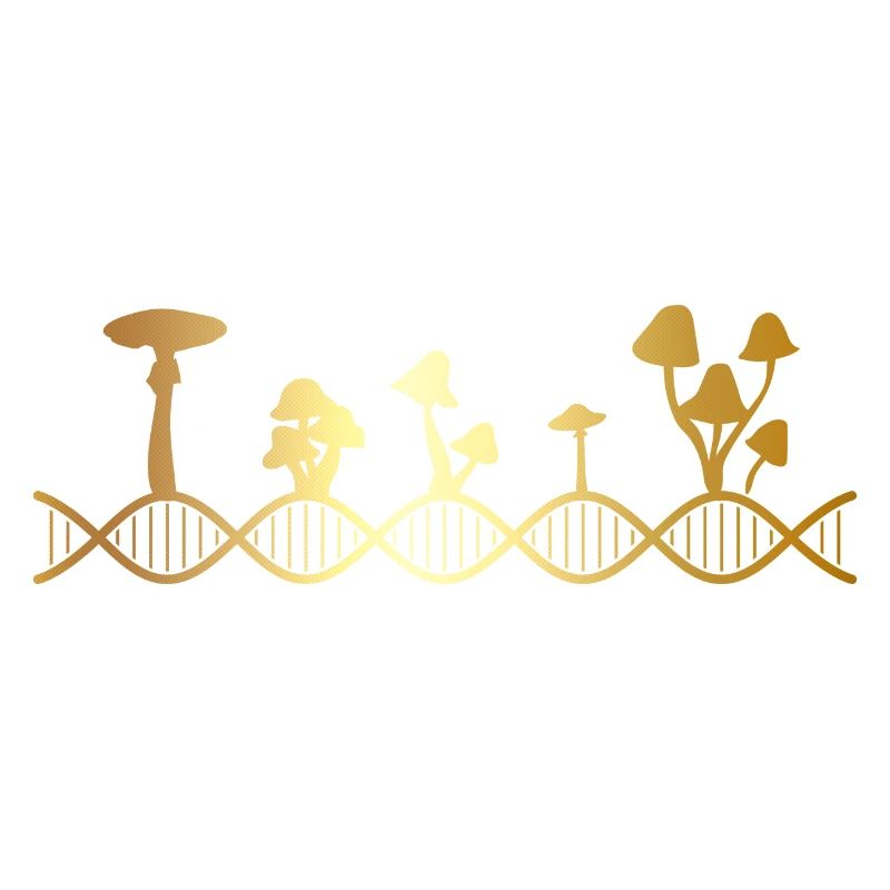 Le champignon est dans mon ADN