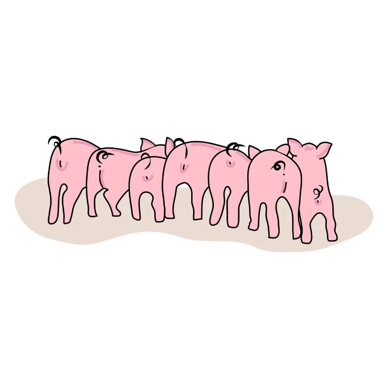 Adorable Piglets from Behind