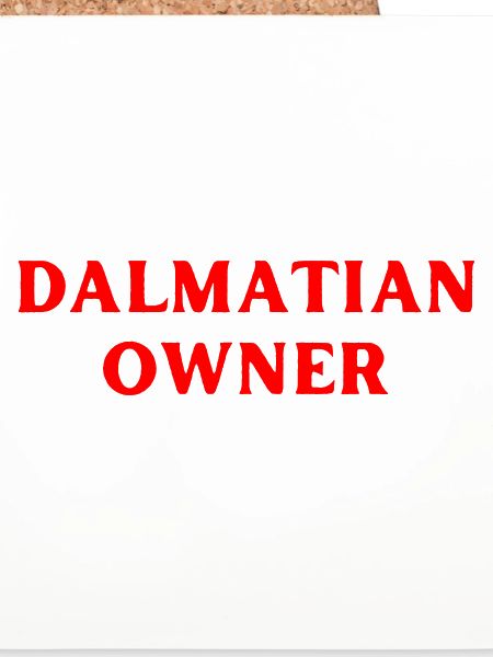 dalmatiner hund hundebesitzer