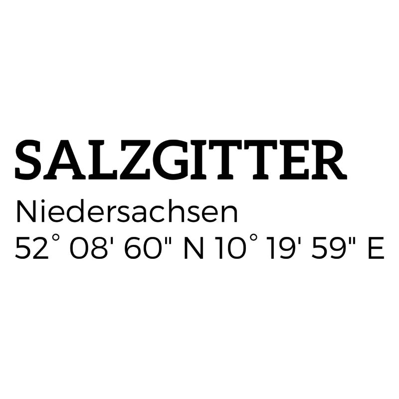 Salzgitter Lower Saxony coordinates