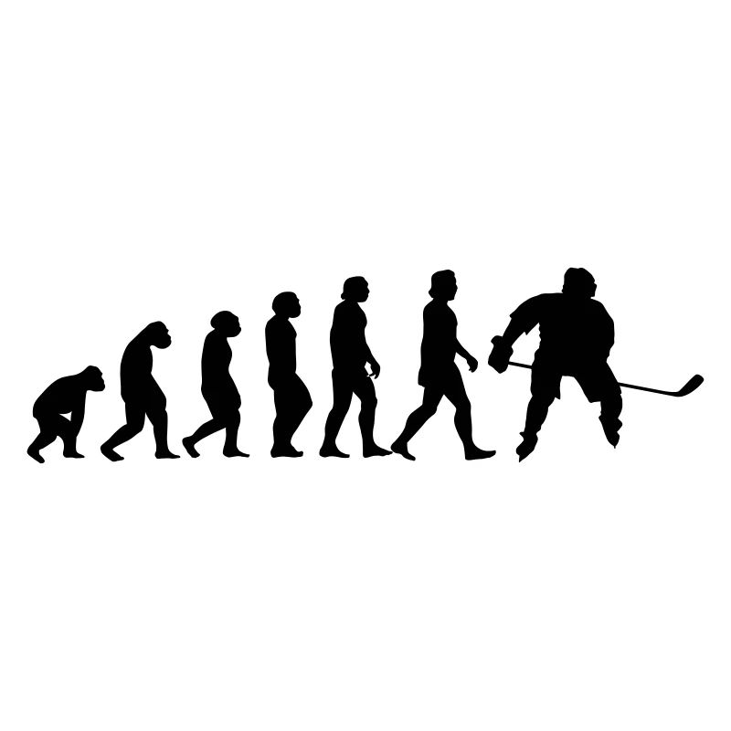 evolution hockey