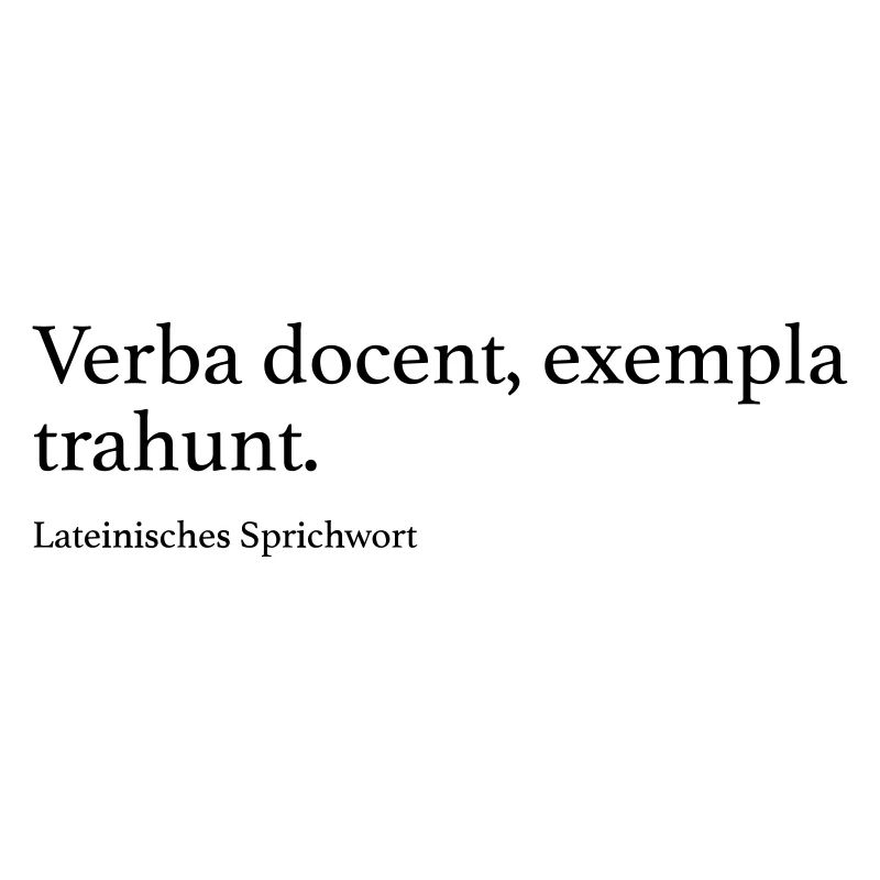 Verba docent, exempla trahunt.