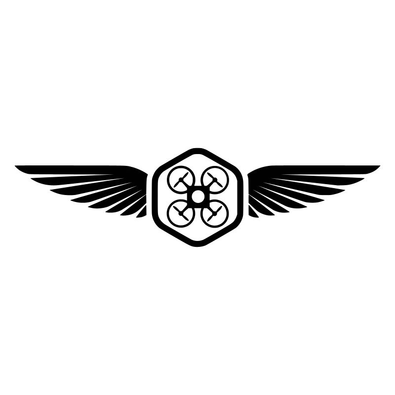 UAV PILOT