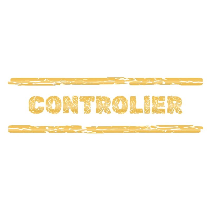 Beruf Controller
