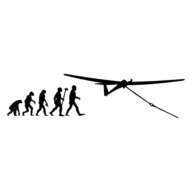 evolution segelfliegen