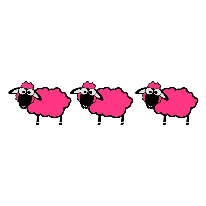 flock sheep