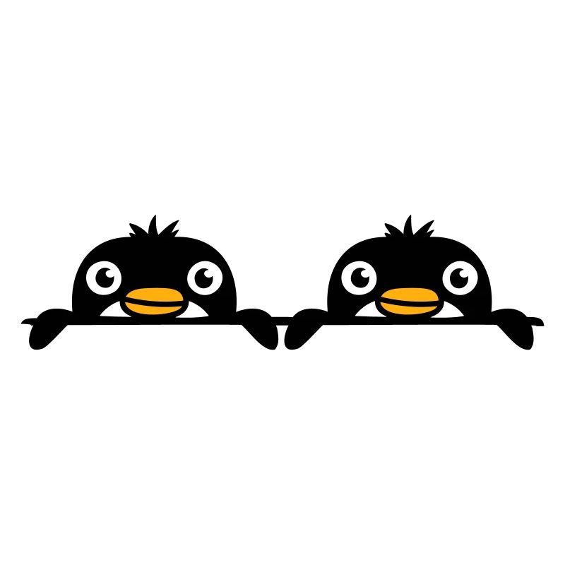 2 amis pingouins jetant un coup d’œil derrière le mur Équipe