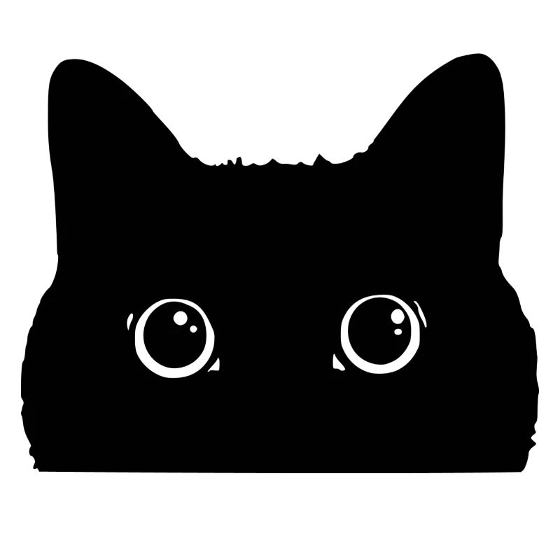 Black kitty