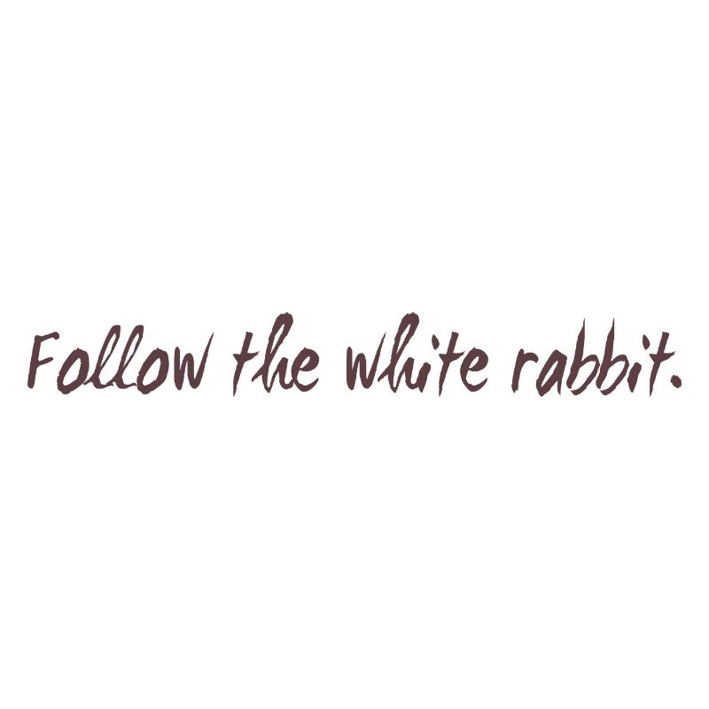 Follow the white rabbit programming cadeau