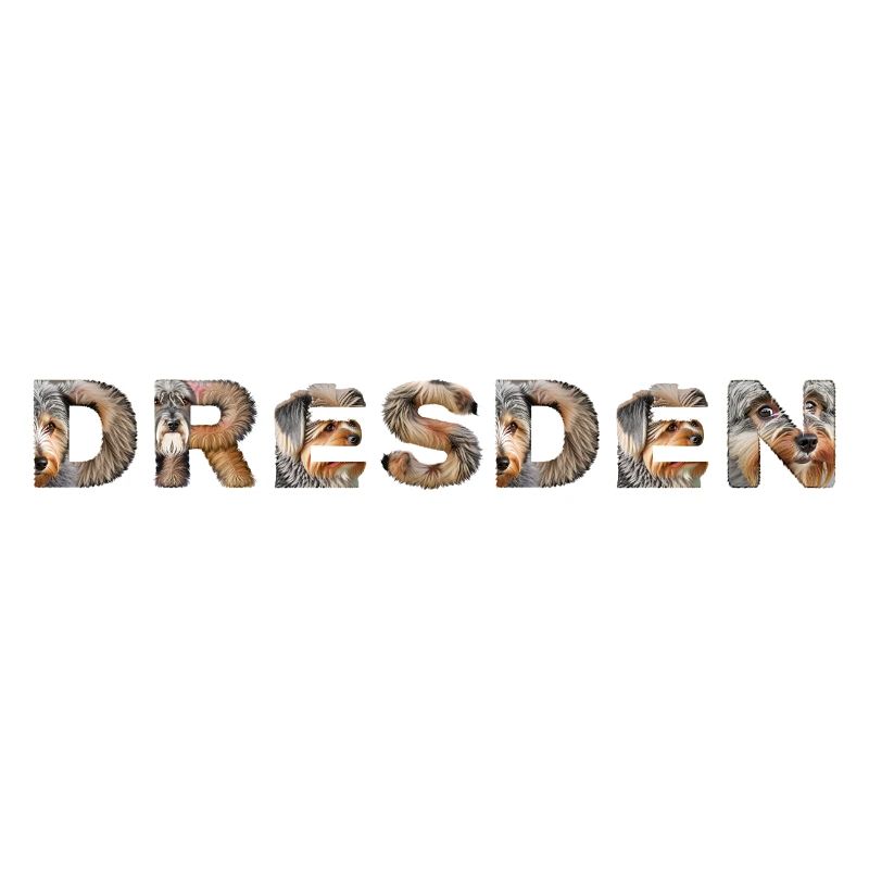 Dresden Hund