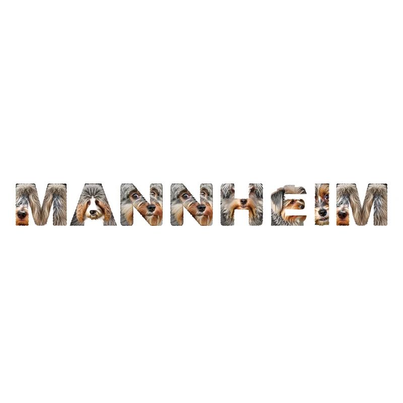 Mannheim Hund