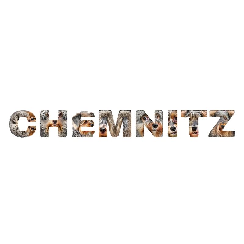 Chemnitz Hund