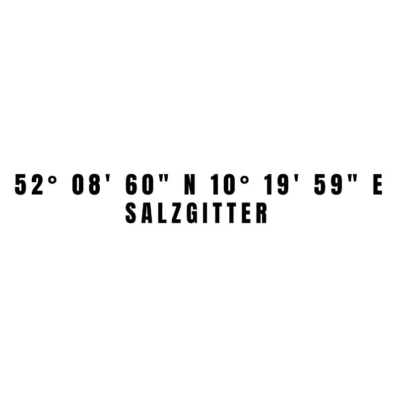 Salzgitter Lower Saxony Coordinates