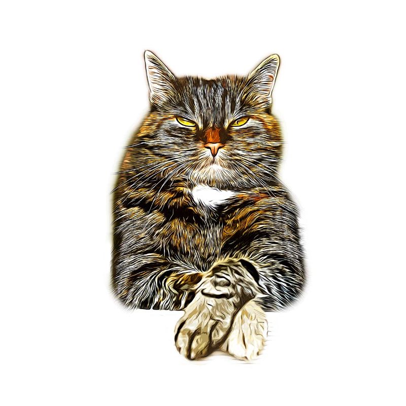 gxp katze cat like a boss vector art