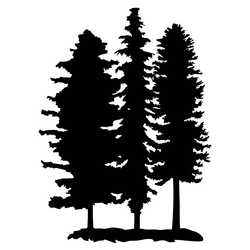 Wald, Bäume