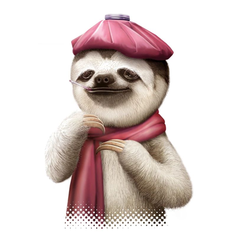 SLOTH FIEBER