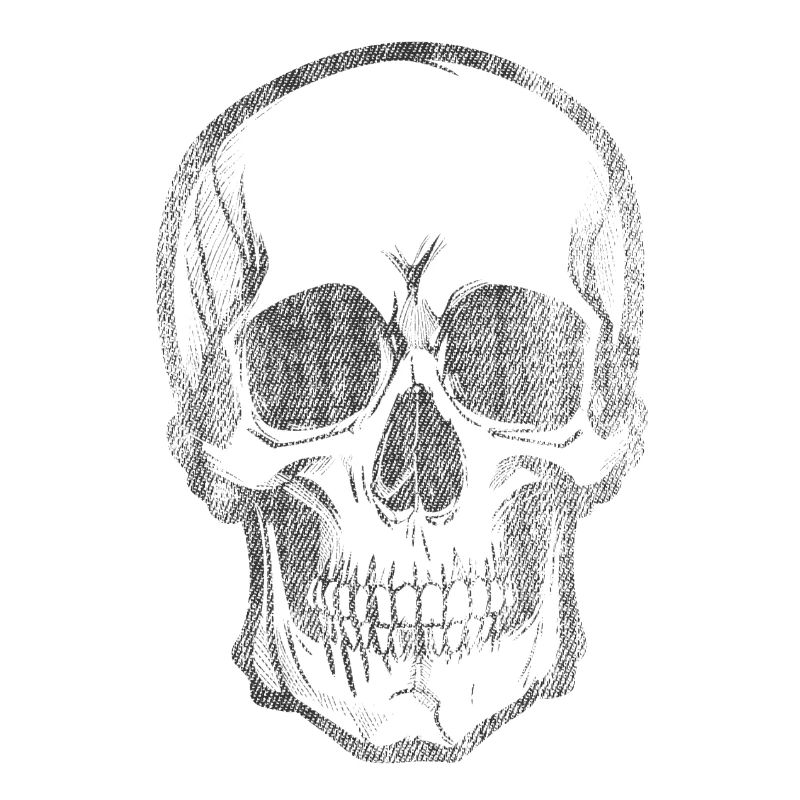 Skull Bone Skull Head Pirate