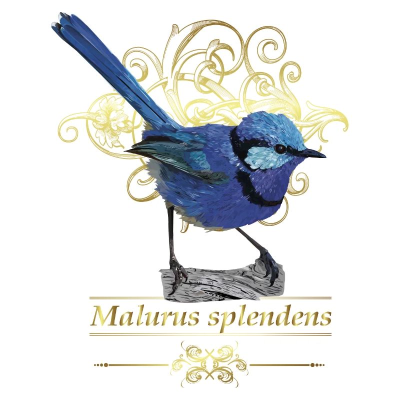 Herrlicher Maluro
