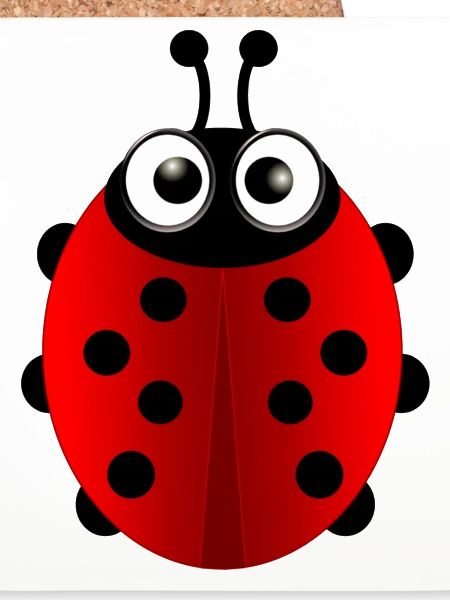 Marienkäfer (ladybug) 01