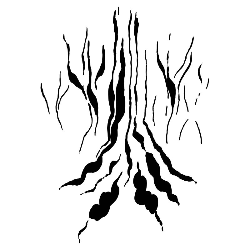 Magic forest