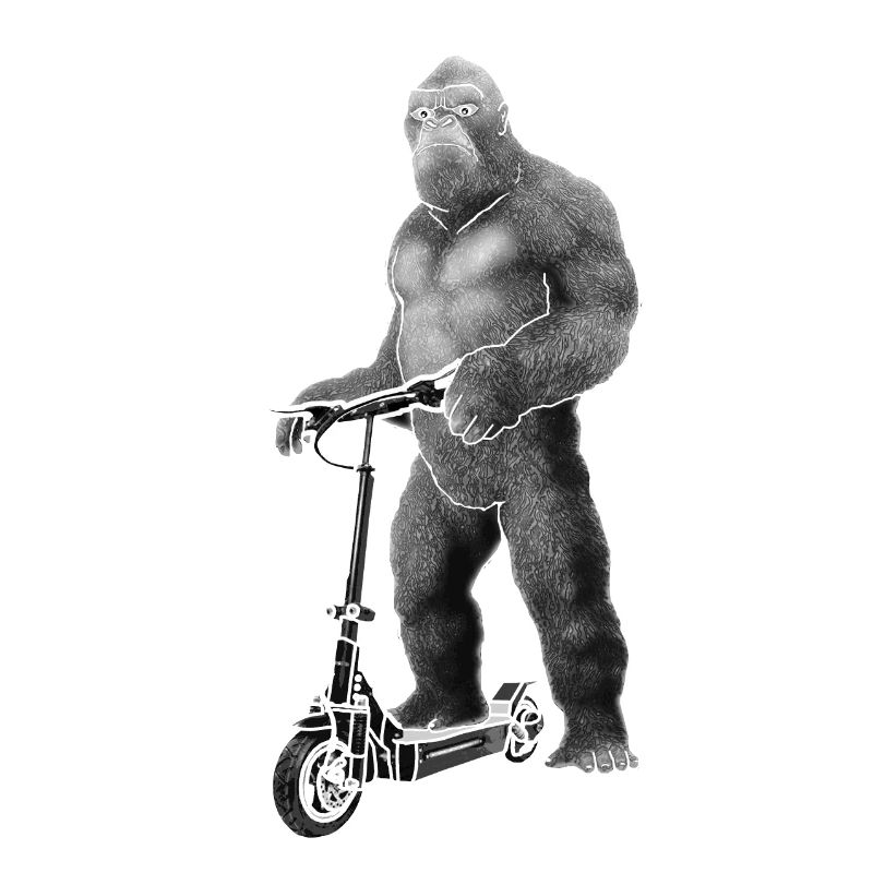 Elektroroller E-Roller King Kong Geschenkidee