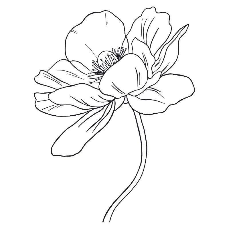 Flower3