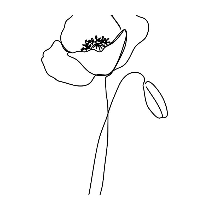 Mohnblume