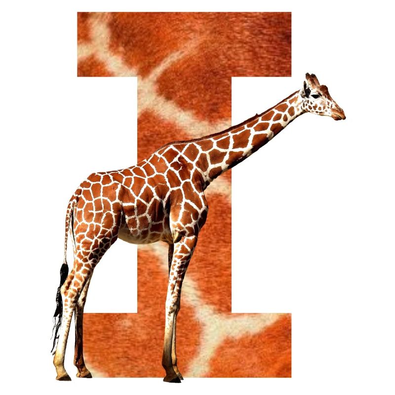 giraffe i