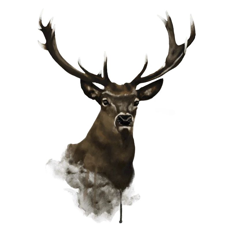 Hirsch