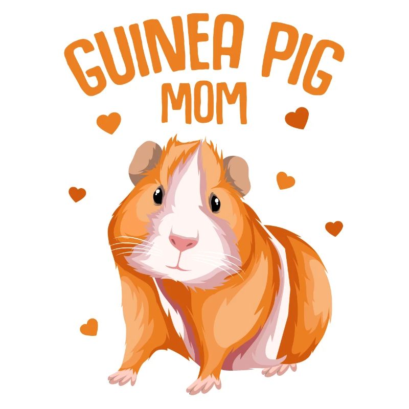 Meerschweinchen