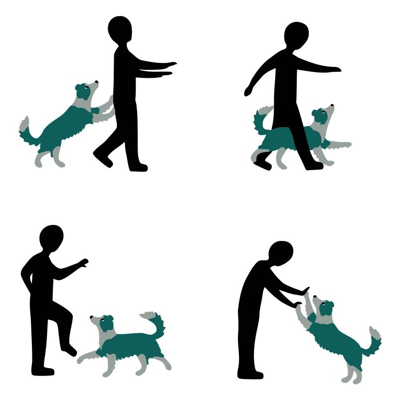 Dog Dancing 3-1