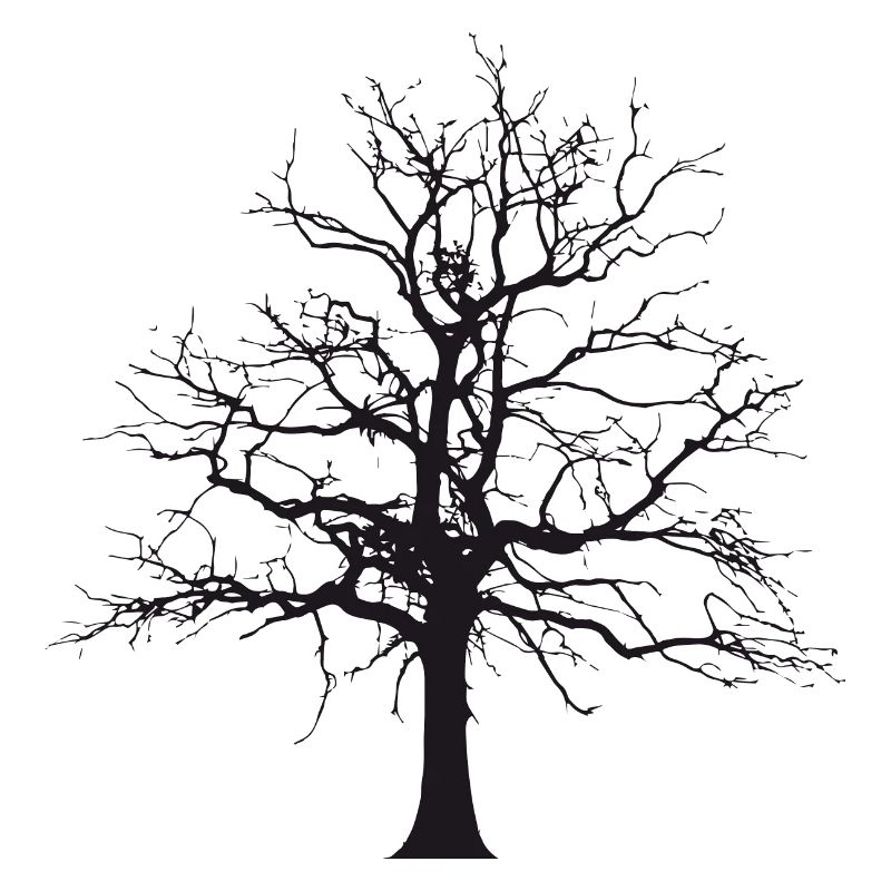 Baum Schatten