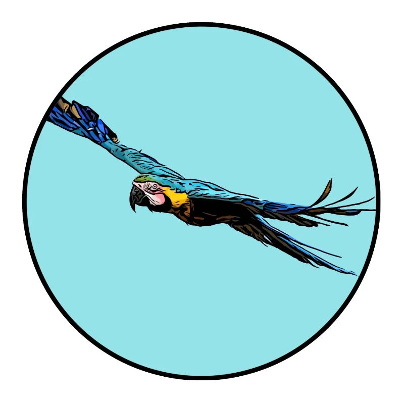 Blauer Ara Flug
