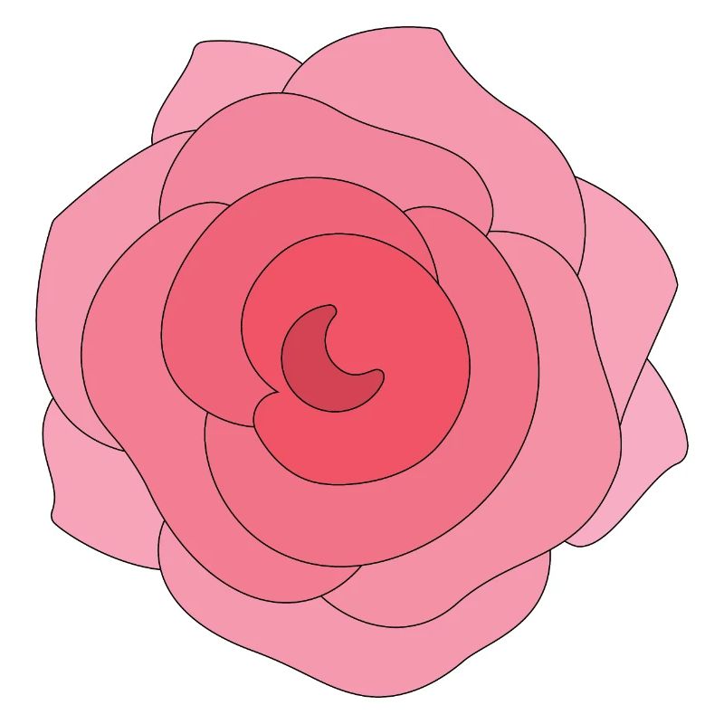 Schöne Rose