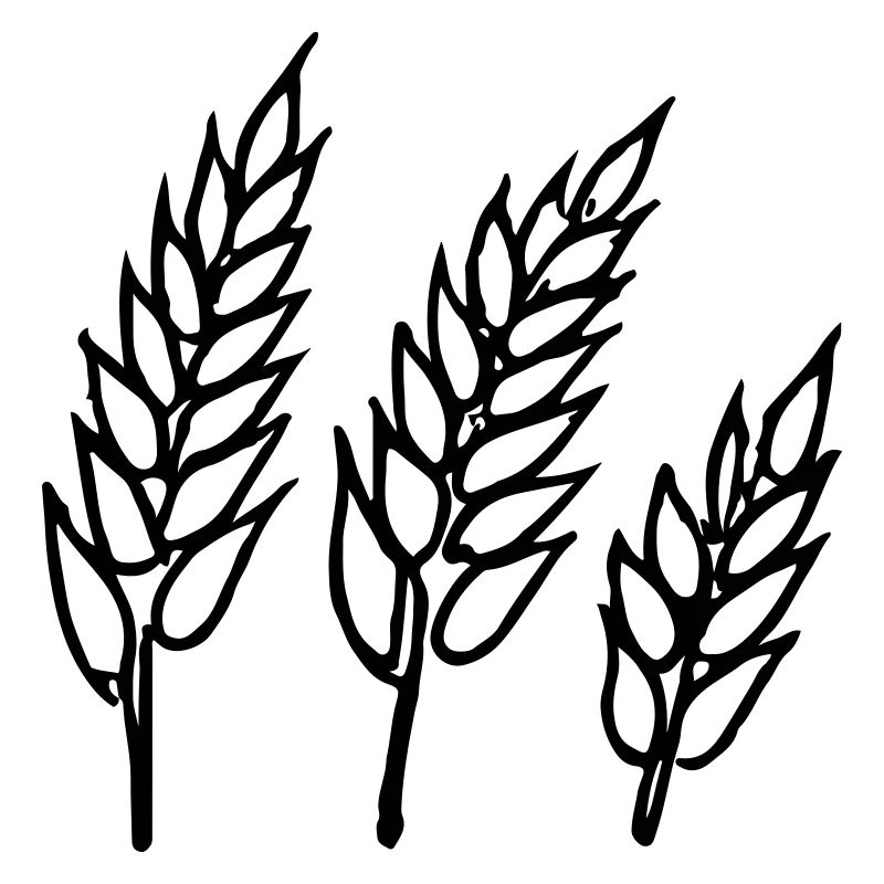 Wheat Illustration Bread Baker Gift Idea