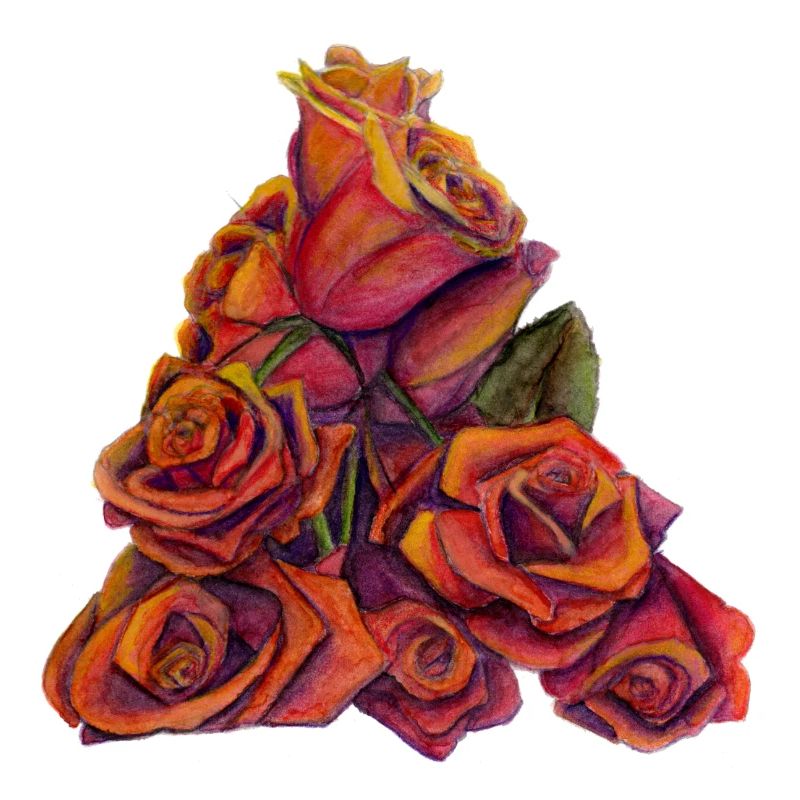 Reflorir