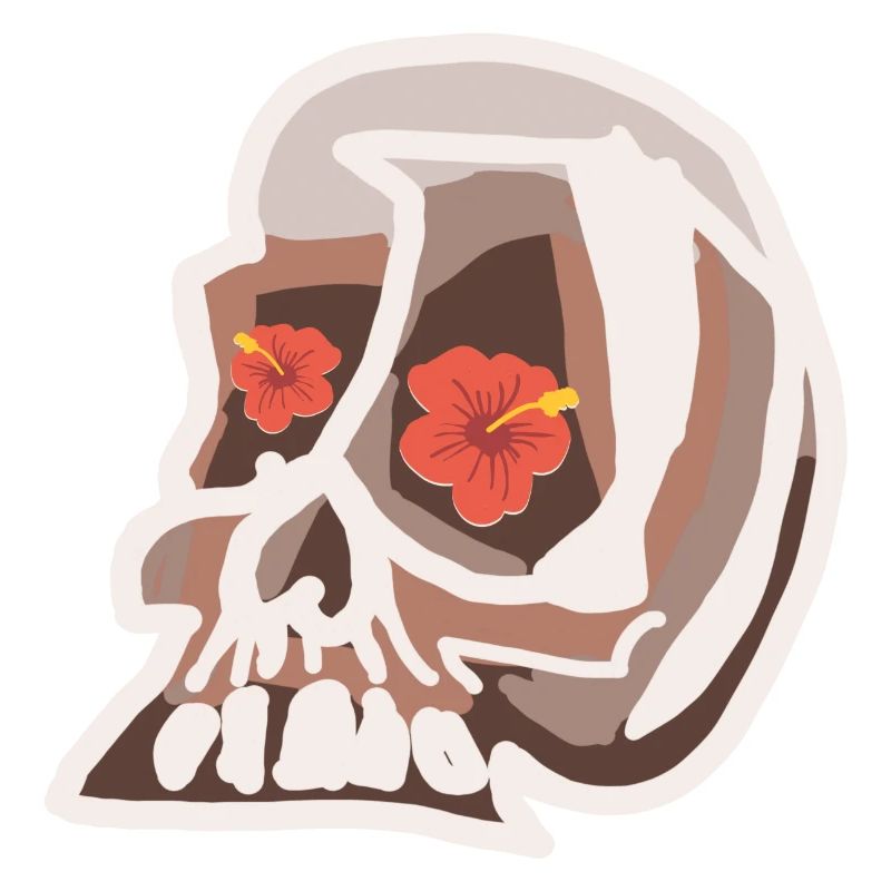 Crâne avec des fleurs d’hibiscus