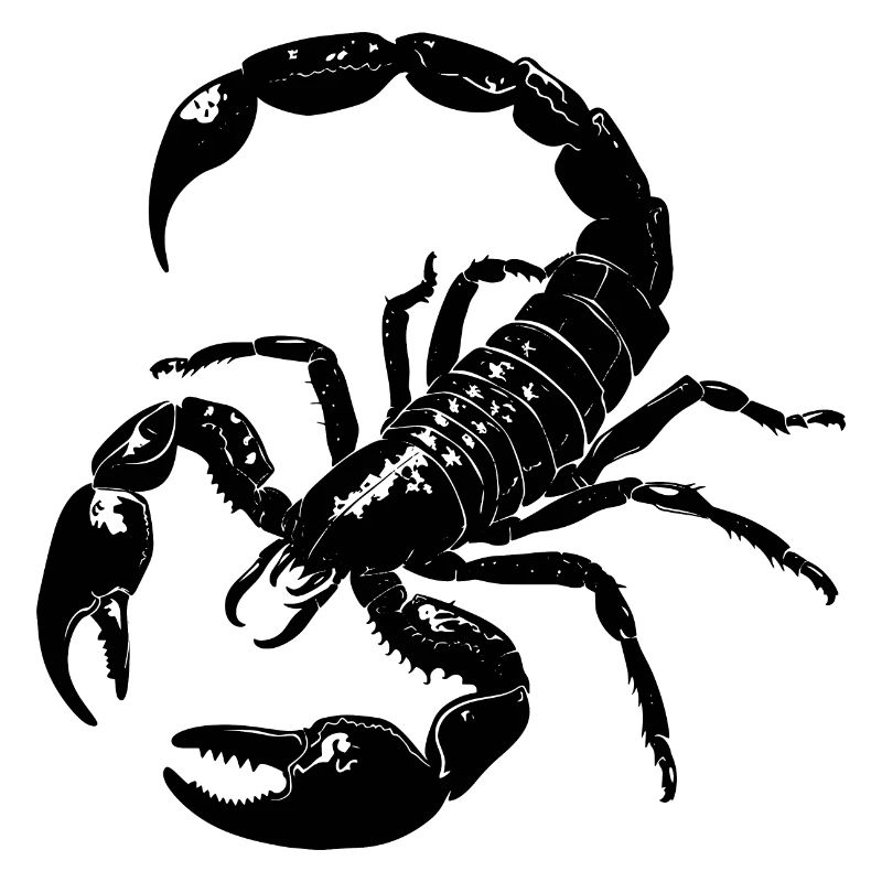 Scorpio, scorpion, gift