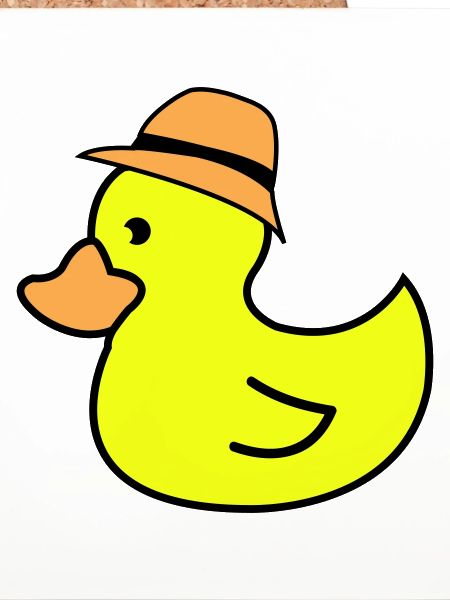Duck Hat