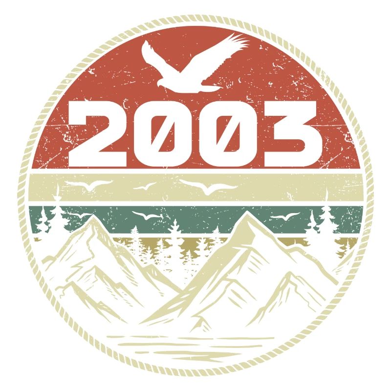 Vintage 2003 Classic 2003 Retro 2003 Geschenk 2003