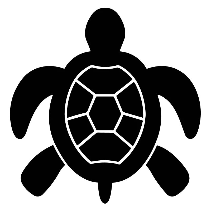 tortoise