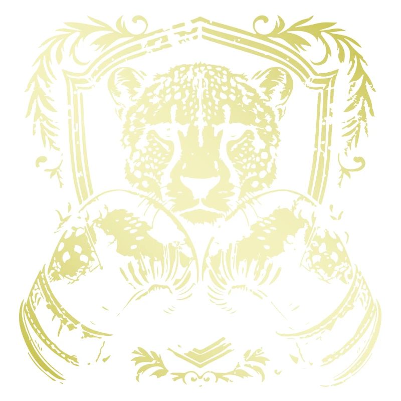Boxer guépard
