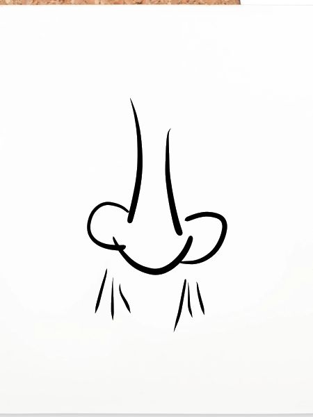 smell nose