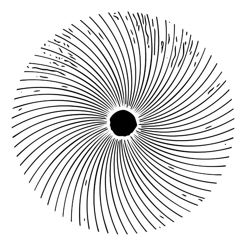 Geometric Circle Optical 3D Line Illusion