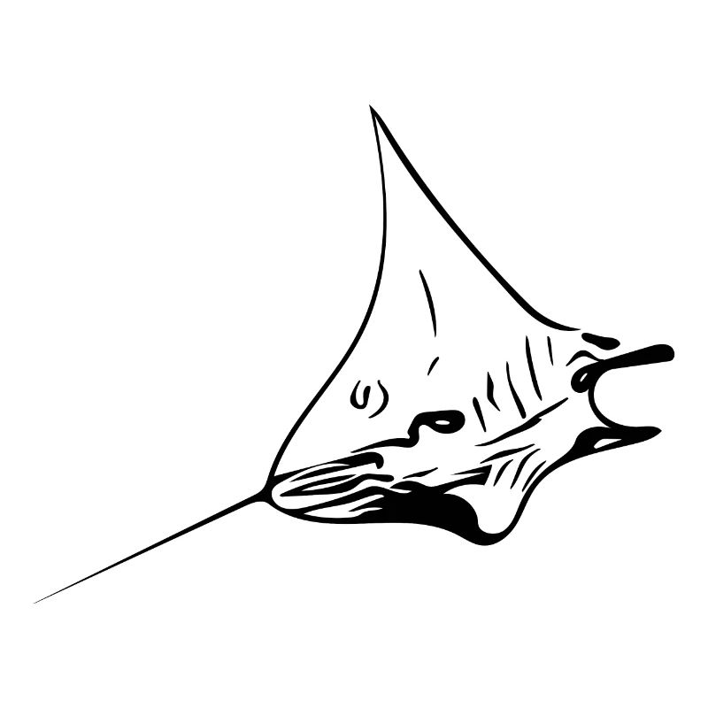 Eleganter Mantarochen im Flug