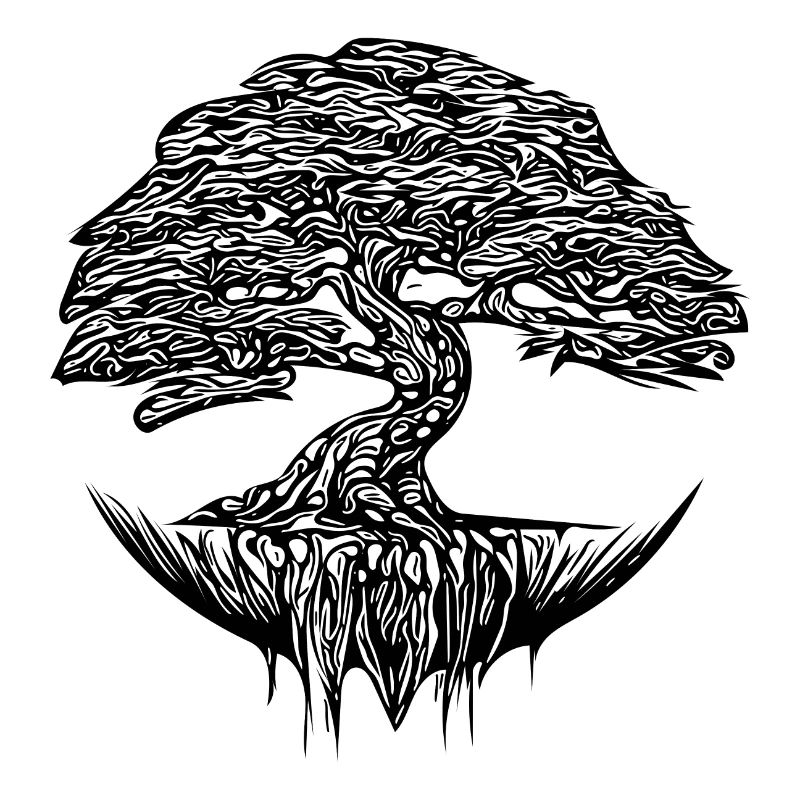 Eleganter Bonsai Baum